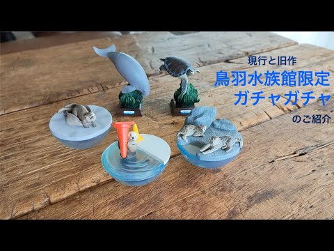 鳥羽水族館限定 ガチャガチャ（現行品・旧作）のご紹介 - YouTube
