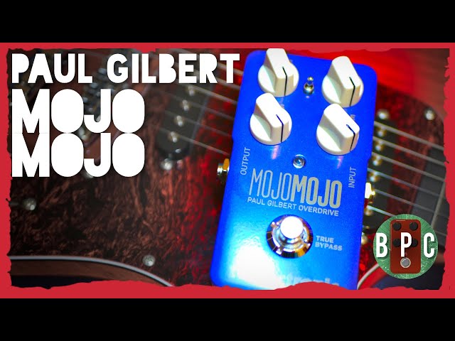 This Is THE One - TC MojoMojo Paul Gilbert Signature - No Talk