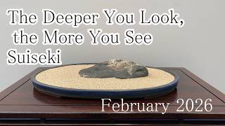 Suiseki〜第63回水石名品展 4K - YouTube