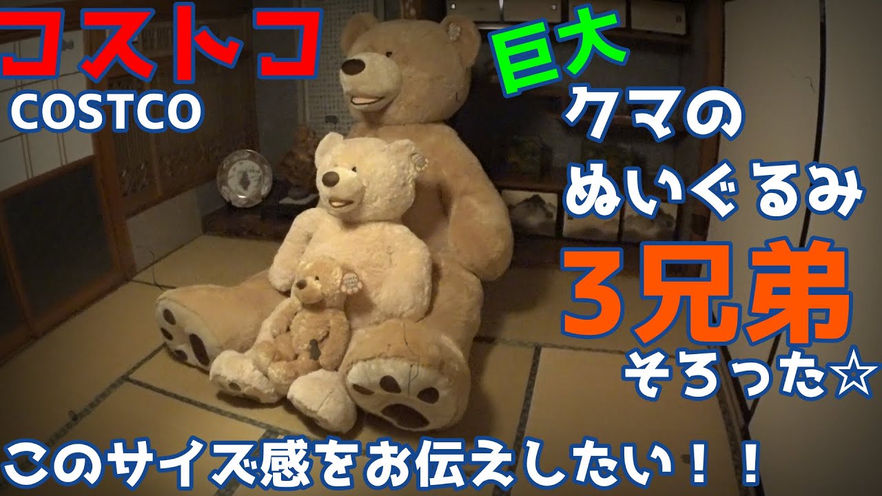 Complete set of Costco giant stuffed animals [3 brothers