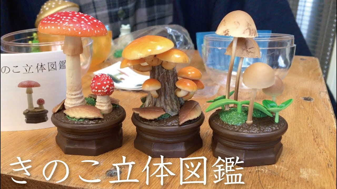 ガチャ「きのこ立体図鑑」開封〔Qualia〕 - YouTube