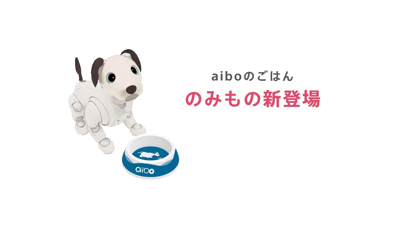 アクセサリー／関連グッズ | aibo