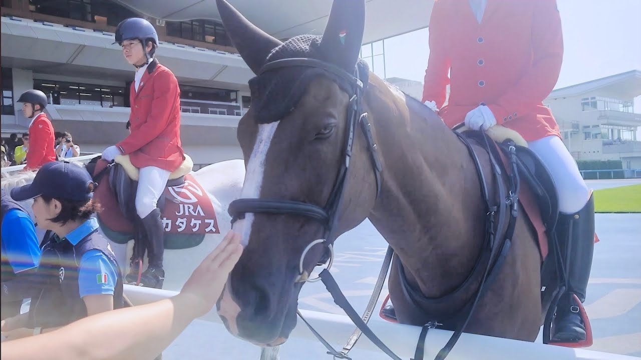 函館記念2024】ハヤヤッコは誘導馬⁉ 本馬場入場 現地映像 ホウオウ
