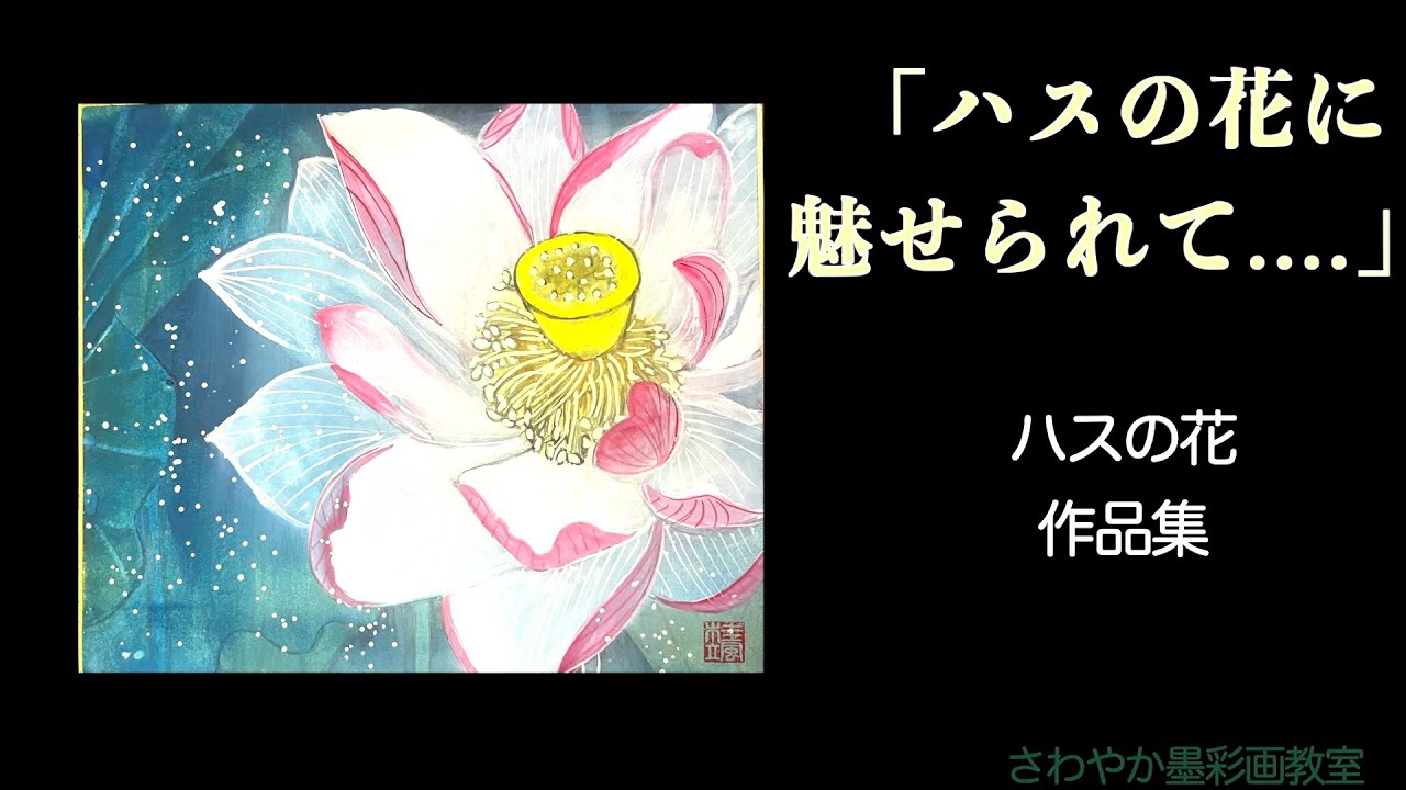 桂颯のハスの花作品集 - YouTube
