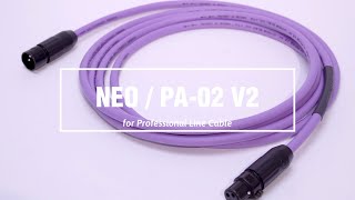 PA-02 XFT V2 (XLRメス-TRS)