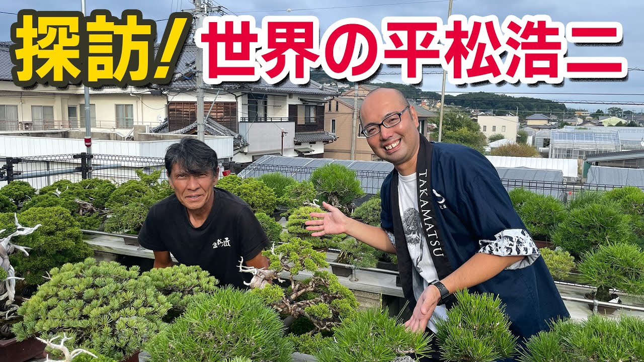 Shinpaku & Black Pine】The World-Renowned Bonsai Master Koji