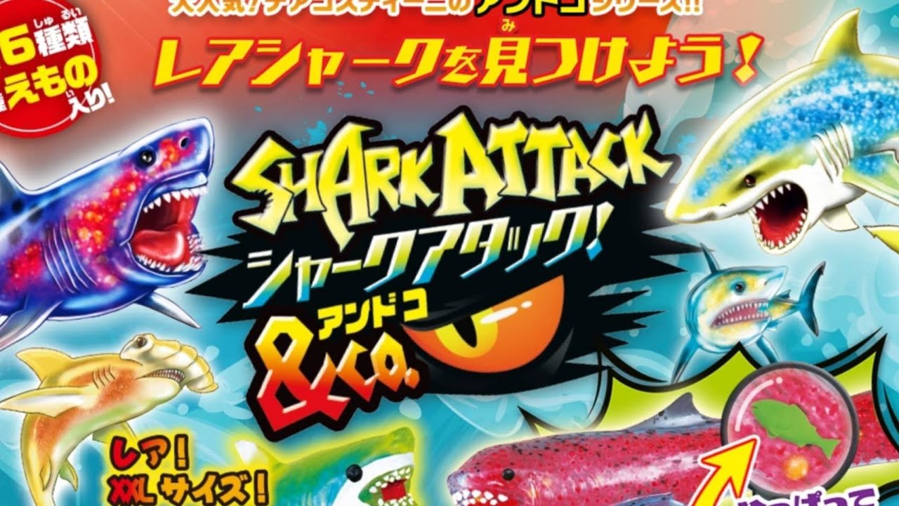 シャークアタック&Co.(SHARK ATTACK & Co.)】2023年11月発売
