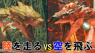 モンハンライズ】陸の女王リオレイア VS 空の王者リオレウス（操竜競走