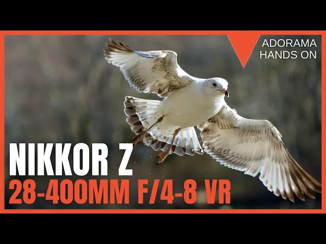 Nikon NIKKOR Z 28-400mm f/4-8 VR Lens 20125 - Adorama