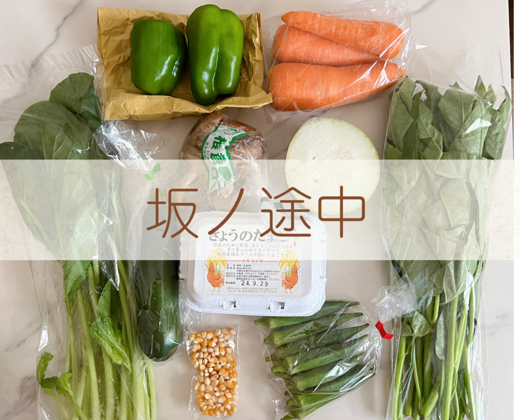 坂ノ途中』共感と驚いた口コミと「旬のお野菜セットS」のレビュー画像