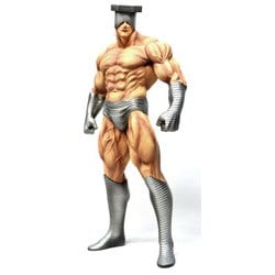 ヨドバシ.com - シーシーピー CCP Muscular Collection NO.8