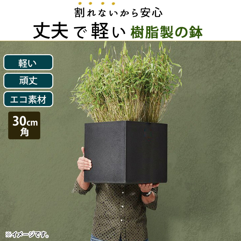 楽天市場】軽量 植木鉢 30cm角 正方形 スクエア型 四角 植木鉢カバー