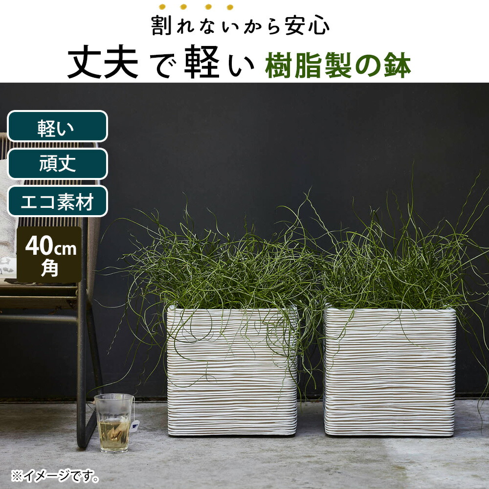 楽天市場】軽量 植木鉢 40cm角 正方形 スクエア型 四角 植木鉢カバー