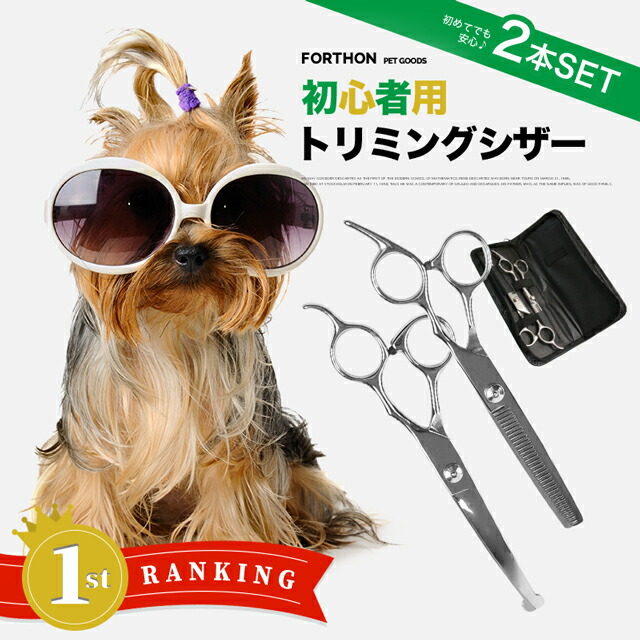 r343_1_rank1.jpg