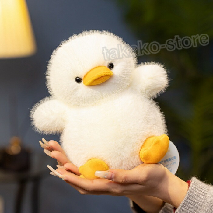 25duck1-2.jpg