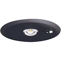 Amazon | パナソニック(Panasonic) 天井直付型 LED 昼白色 非常用照明