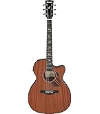 Amazon | Ibanez/アイバニーズ ソリッド・シトカ・スプルースTOPに