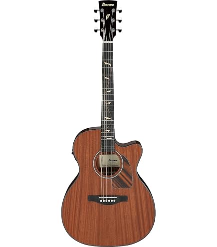 Amazon | Ibanez AEG 12弦 アコースティックエレキギター (ダーク