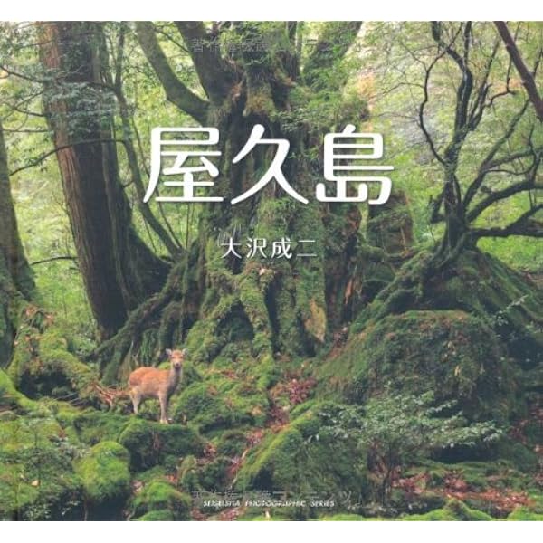 Amazon.co.jp: いのちの森 屋久島 : 奈良崎 高功: 本