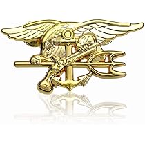 Amazon.co.jp: Don Flyee レプリカ Navy SEALs ピンバッジ ピンズ 徽章