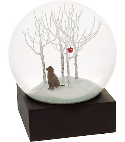 Amazon.co.jp: CoolSnowGlobes 鯉 スノードーム : おもちゃ