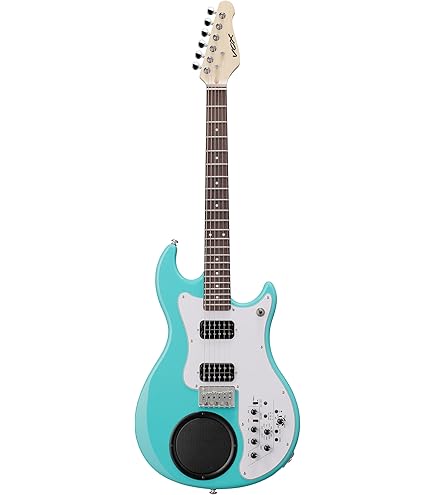 Amazon | FERNANDES フェルナンデス エレキギター DECADE-85 SID