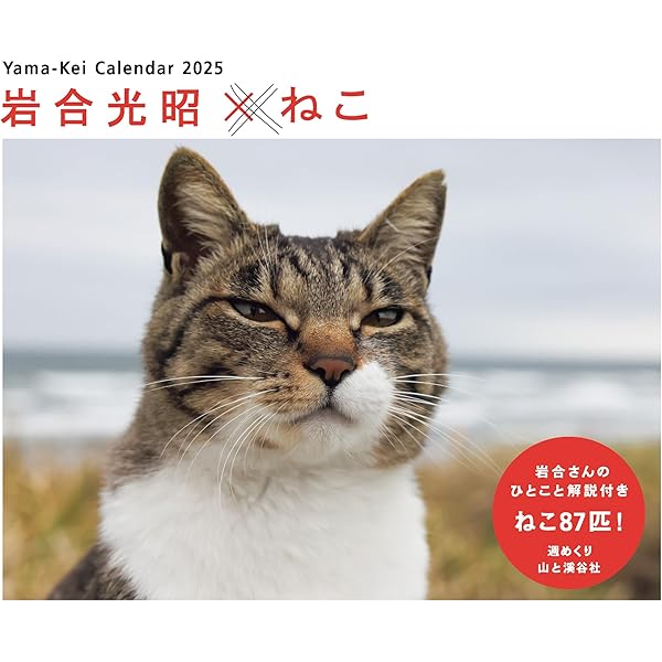 Amazon.co.jp: みけねこみっけねこ : いなのべ いくこ: 本
