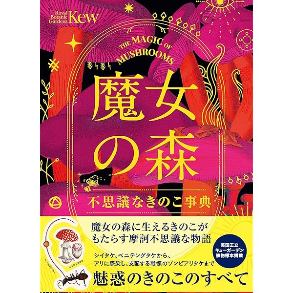 Amazon.co.jp: 魔女の樹 不思議の森の樹木事典 : サンドラ・ローレンス