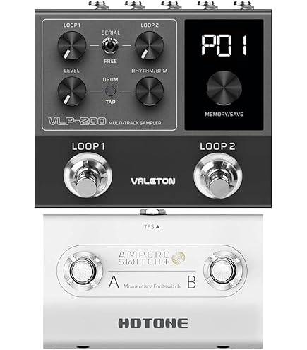 Amazon.com: Valeton VLP-200 Multi-Track Sampler - Two full
