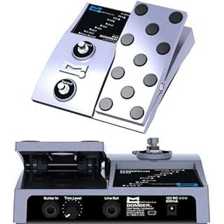 Meris HEDRA - 3つのピッチボイス全てにディレイ＆フィードバックを