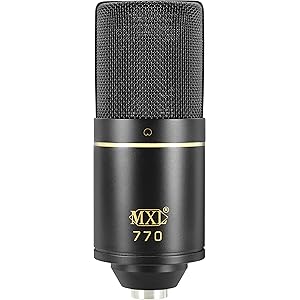 SENNHEISER E965 - ゼンハイザーのステージ用ボーカルマイク最高峰と