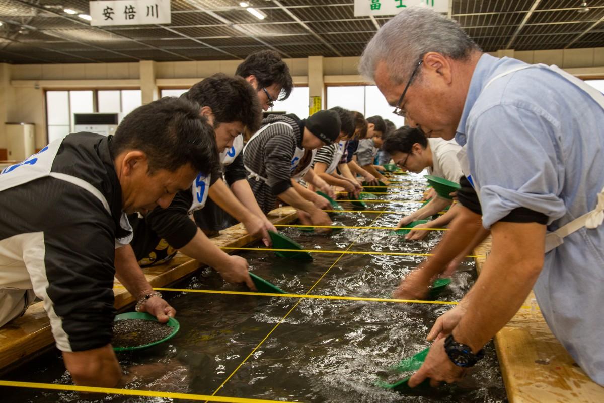土肥金山で砂金採り大会 全国から「砂金採り王者」競う - 沼津経済新聞
