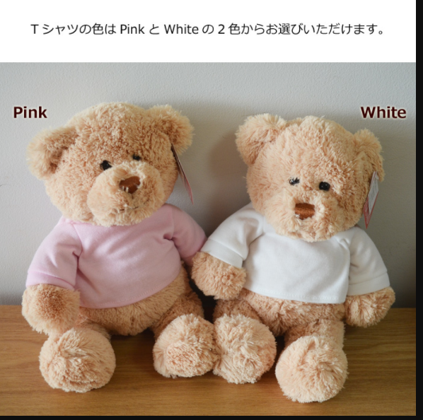 寄せ書きTシャツベアぬいぐるみ | GUND（ガンド）のプレゼント・ギフト