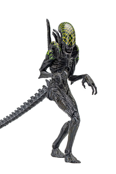 AVP 1/18 アクションフィギュア グリッドエイリアン[ハイヤトイズ