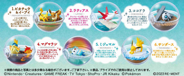 ポケットモンスター テラリウムコレクション13 6個入りBOX（再販