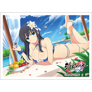 シノビマスター 閃乱カグラ NEW LINK]スリーブ(雪泉/81の日盛・伝説双
