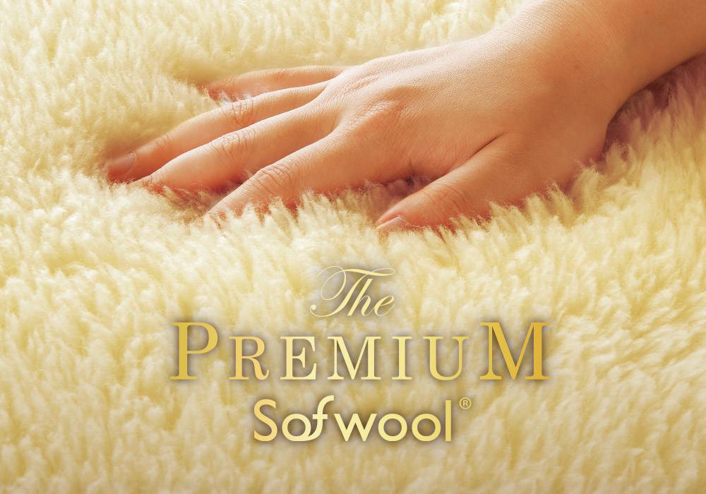 THE PREMIUM Sofwool 2/ザ・プレミアムソフゥール2 掛け毛布 通販