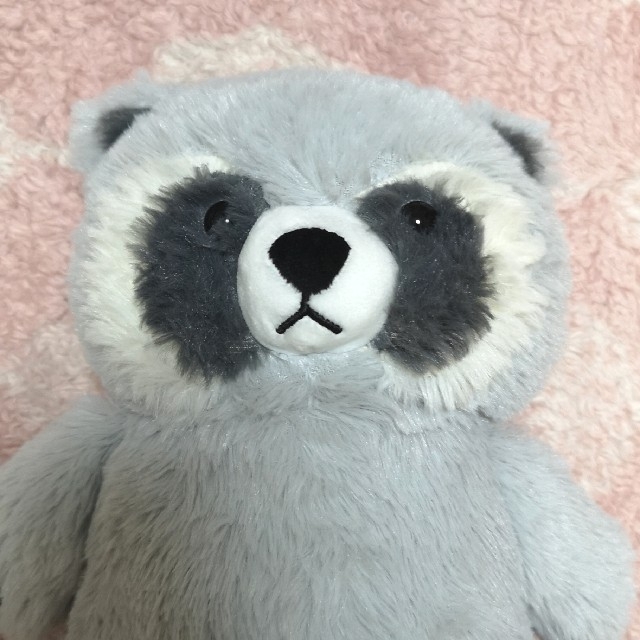 ニトリ - ニトリNウォームぬいぐるみアライグマの通販 by 鞠多's shop