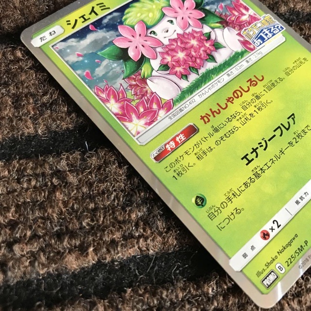 ポケモン - ポケモンカードゲーム シェイミ プロモ ポケモンの家