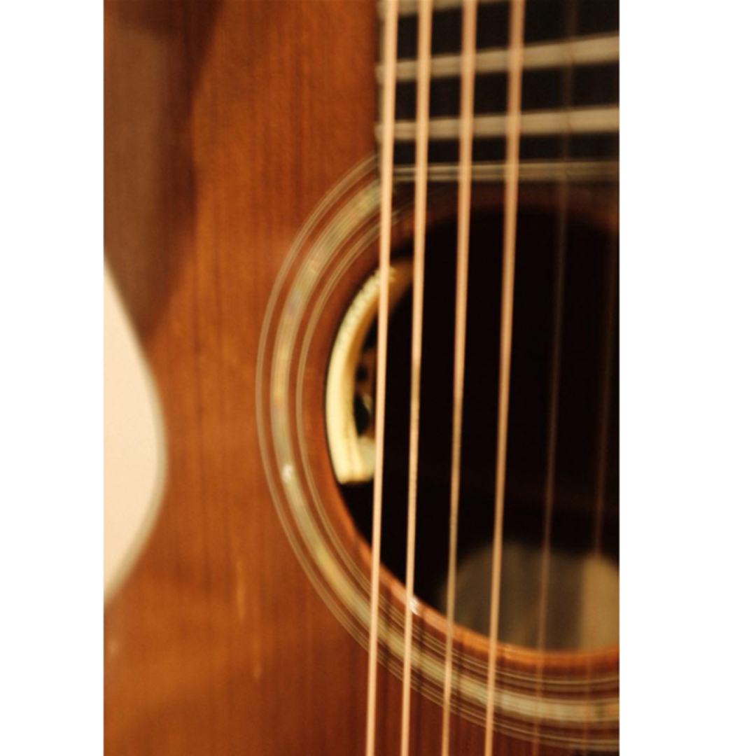 Taylor - Taylor812 1980年代 オールドテイラー 82万→68万値下げの