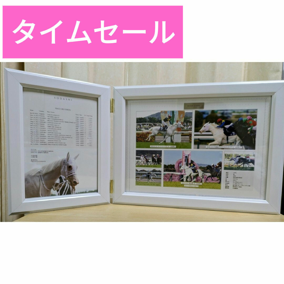 非売品】100個限定ソダシ引退記念写真入デザインパネル☆シリアル