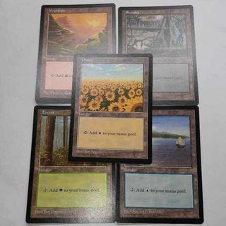 マジック：ザ・ギャザリング - MTG APACランド 5枚セット ひまわり平地