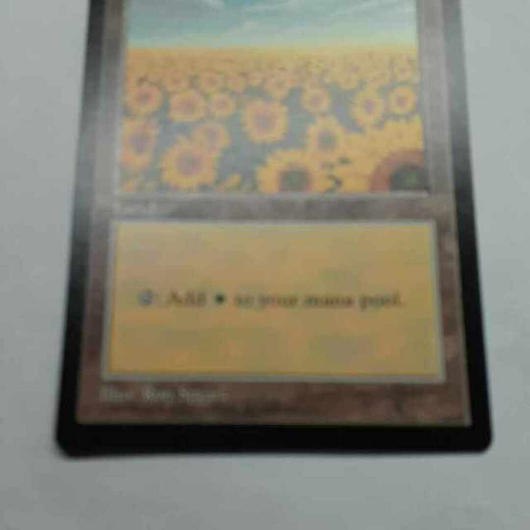 マジック：ザ・ギャザリング - MTG APACランド 5枚セット ひまわり平地