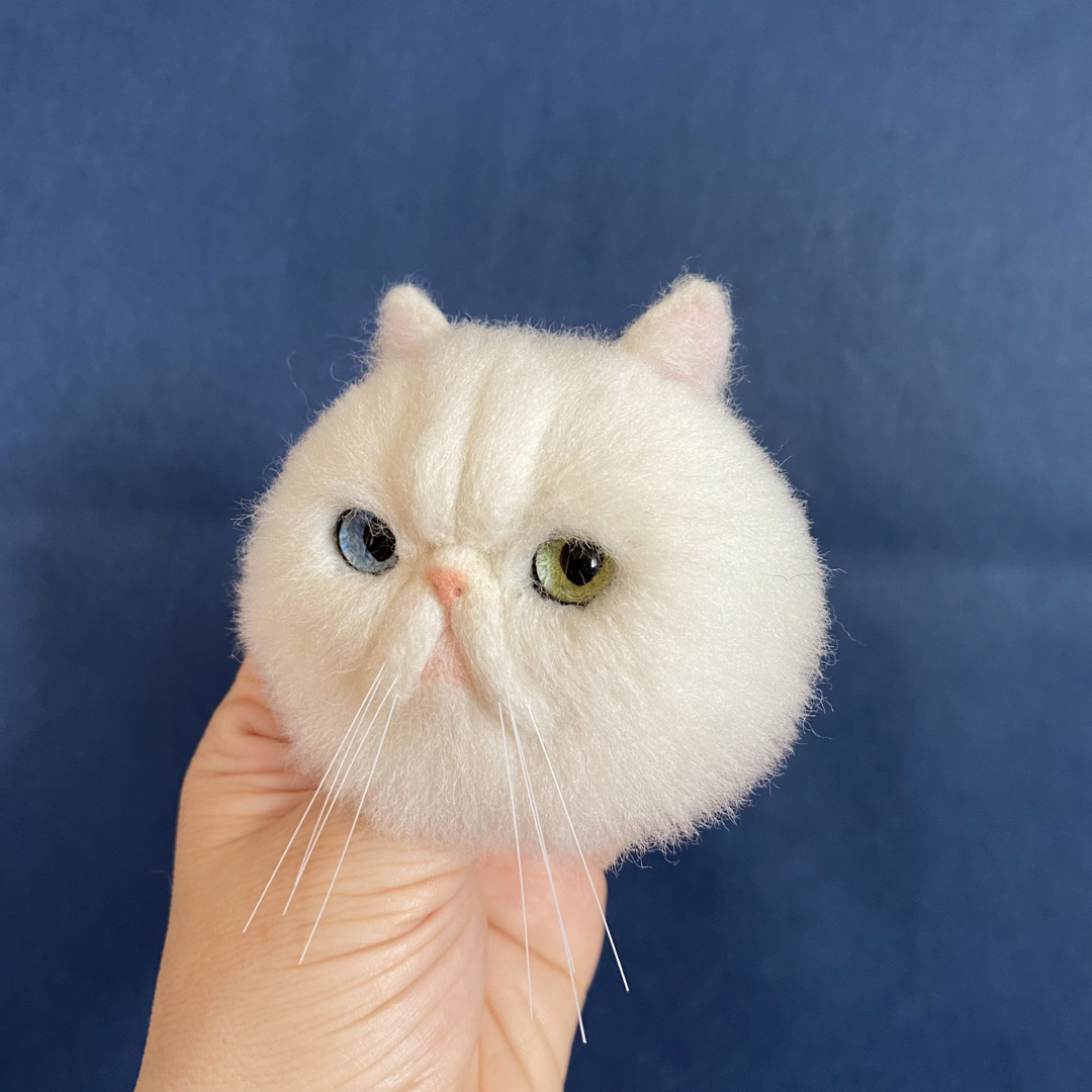 見本】羊毛フェルト リアル可愛いエキゾチックショートヘア オッドアイ