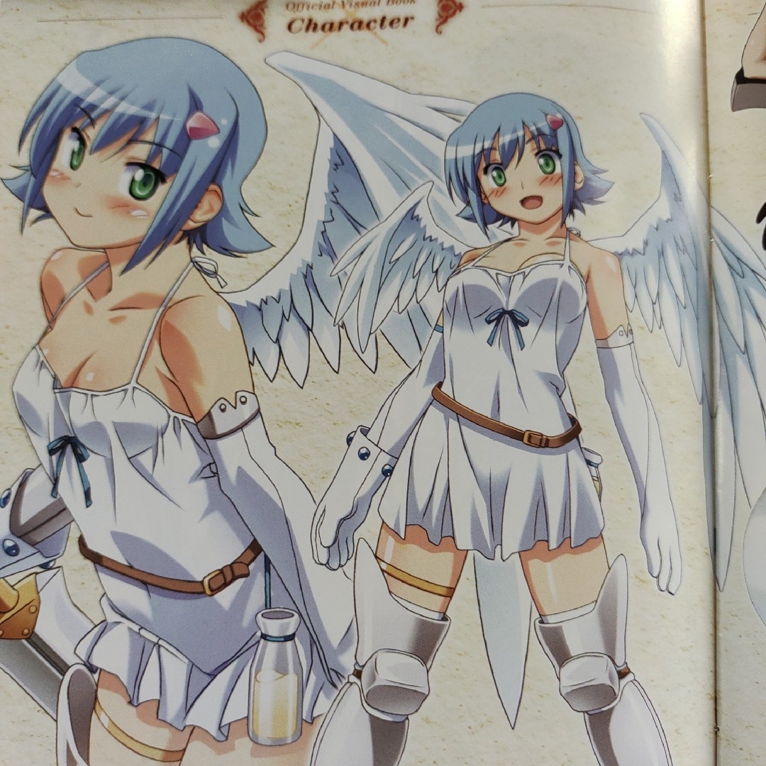 クイーンズブレイド オフィシャル ファンブックの通販 by 雪国人's