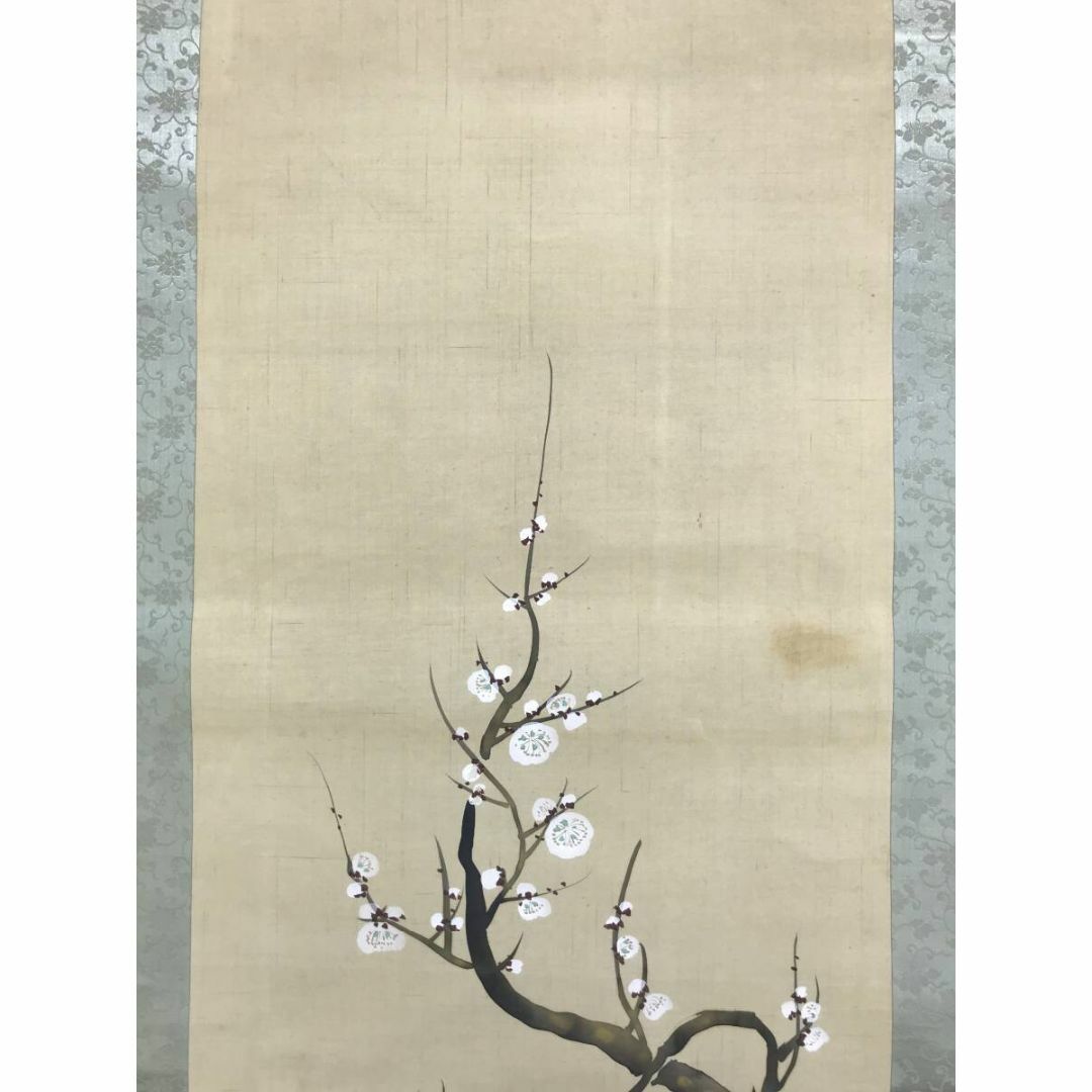 真作/靖々春明/南天梅花図/琳派/花鳥図/掛軸☆宝船☆AG-56の通販 by