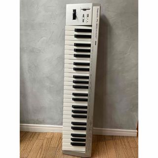 Roland - 【ジャンク品】ローランド S-50 サンプリングキーボードの