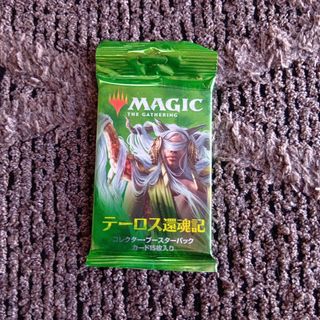 マジック：ザ・ギャザリング - 【MTG】基本土地100枚セット（各種20枚