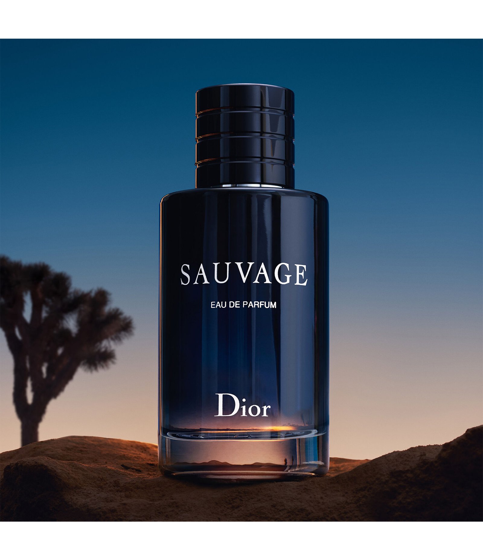 Perfume Dior Sauvage Masculino Eau De Parfum 60ml