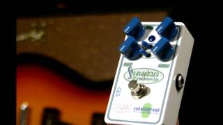 Catalinbread Semaphore Tremolo - What To Know & Where To Buy